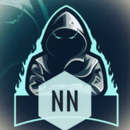 nn CSRIP