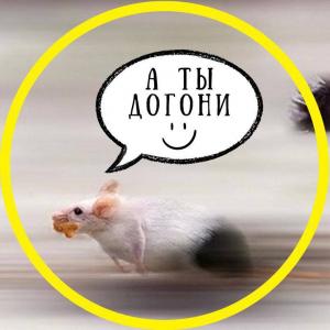 КРЫСИНЫЕ БЕГА